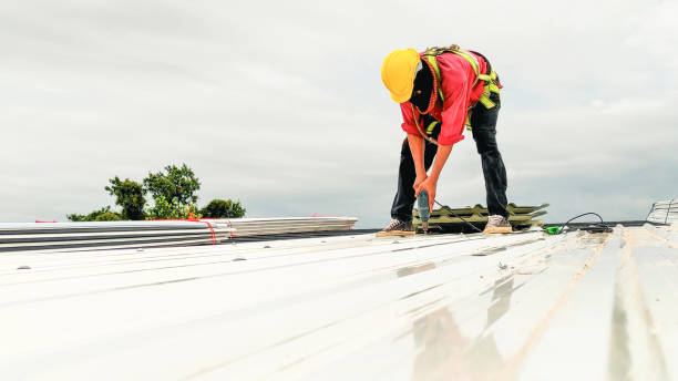 Best Gutter Installation and Repair  in Taylorsville, KY
