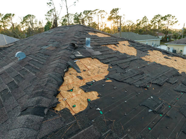 Steel Roofing in Taylorsville, KY