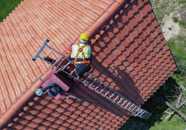 Best Skylight Installation and Repair  in Taylorsville, KY